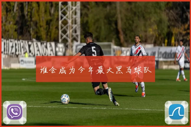 谁会成为今年最大黑马球队