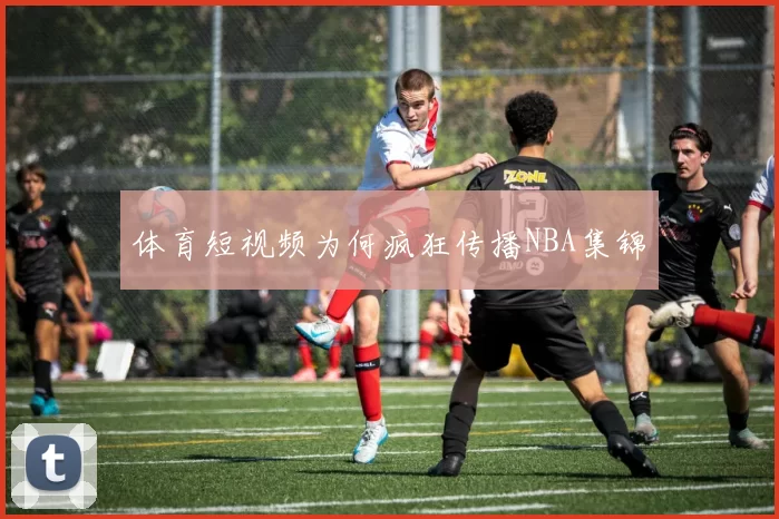 体育短视频为何疯狂传播NBA集锦