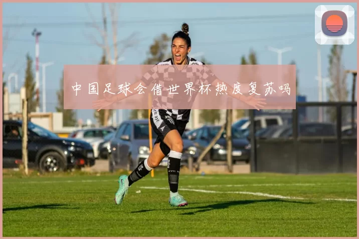 中国足球会借世界杯热度复苏吗