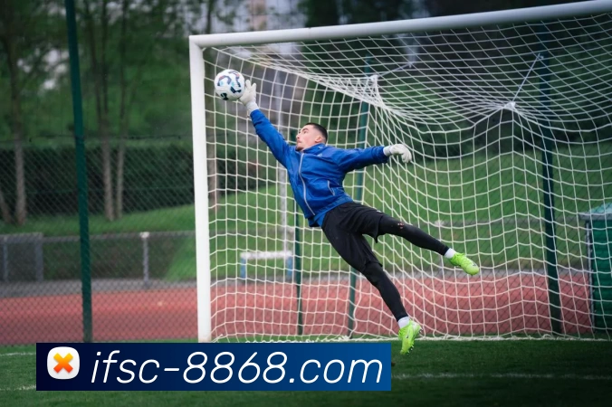 奖项证书